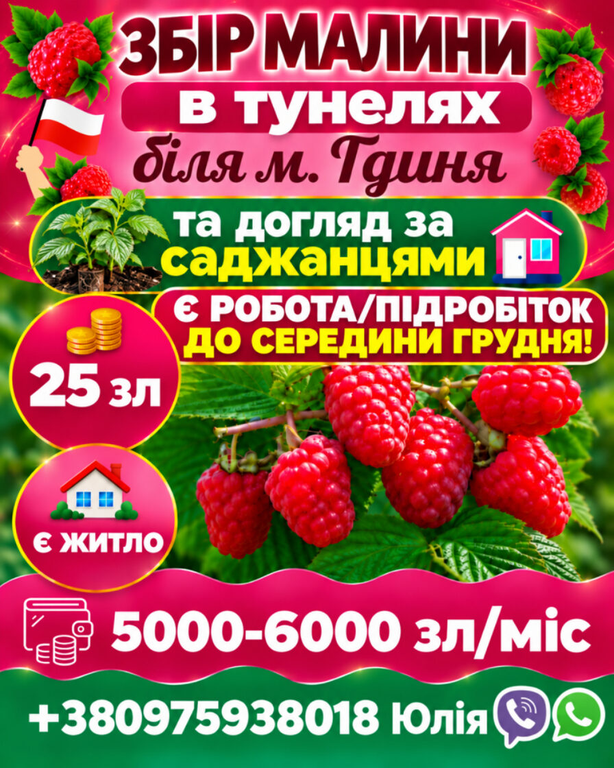 6ae202dc6eb983ec9b49f52e-1793196814057-6.jpeg